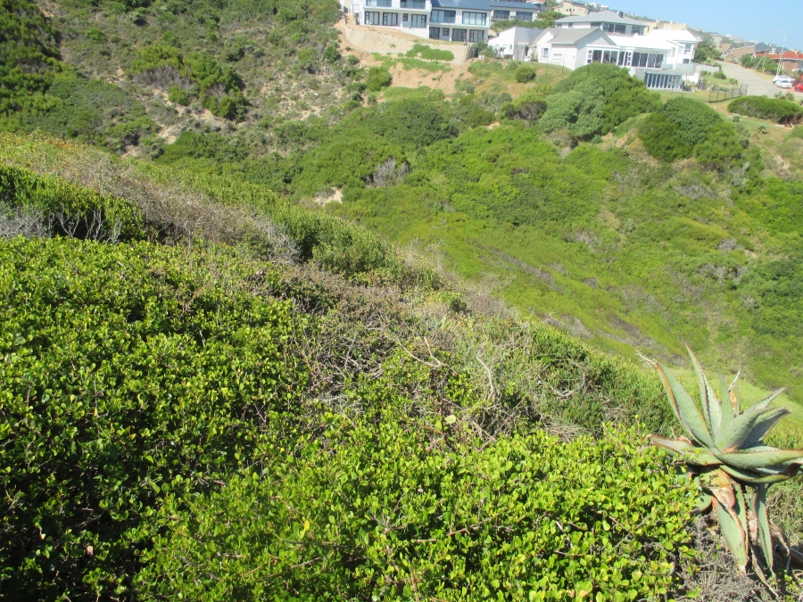 0 Bedroom Property for Sale in Dana Bay Western Cape